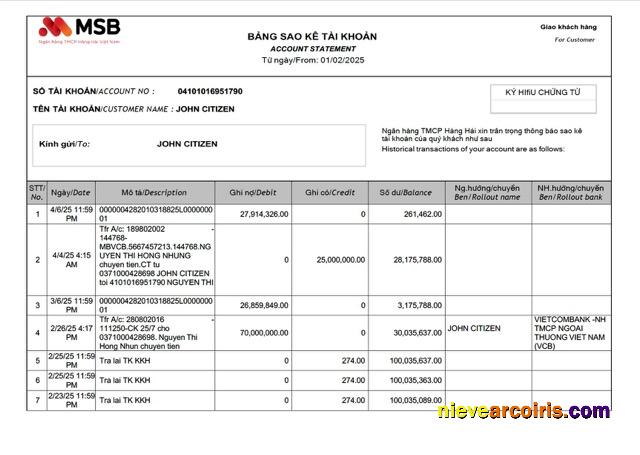 Vietnam MSB Bank account statement Word and PDF